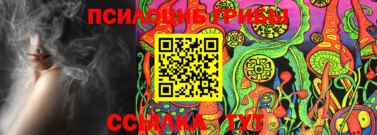 Псилоцибиновые грибы Cubensis  Галлюциногенные грибы мухоморы  Сергиев Посад  Вход с VPN 